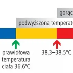 Gorączka u dzieci: kiedy konieczna jest wizyta u lekarza?