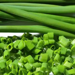 Pęczek zielonego szczypiorku i posiekane kawałki na białym tle.