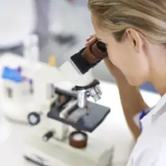 Ile kosztuje badanie prolaktyny? Ceny w laboratoriach w Polsce