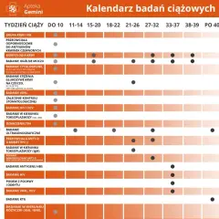 Ile badań prenatalnych w ciąży? Kluczowe informacje, które musisz znać