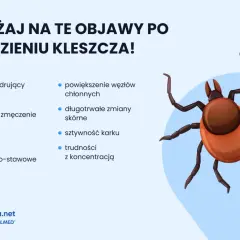 Ilustracja kleszcza z listą objawów po ugryzieniu: rumień, gorączka, zmęczenie, bóle.