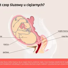 Ilustracja anatomiczna przedstawiająca płód w macicy, szyjkę macicy i czop śluzowy.