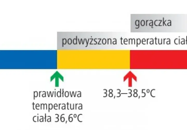 Gorączka u dzieci: kiedy konieczna jest wizyta u lekarza?