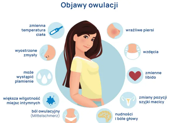 Ilustracja przedstawia kobietę otoczoną ikonami symbolizującymi objawy owulacji: termometr, nos, krople, plamienie, piersi, serce, macicę, mózg, brzuch.