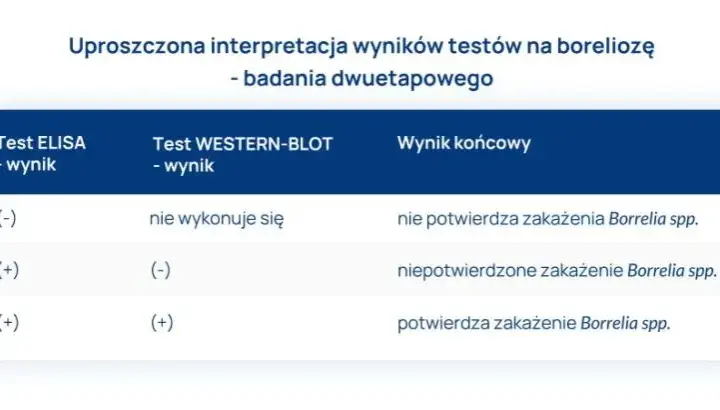 Jak odczytać wyniki badań na boreliozę i uniknąć fałszywych diagnoz