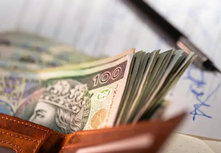 Portfel z polskimi banknotami 100 zł, długopis i dokumenty.