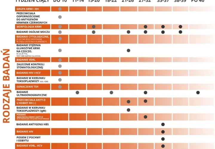 Ile badań prenatalnych w ciąży? Kluczowe informacje, które musisz znać