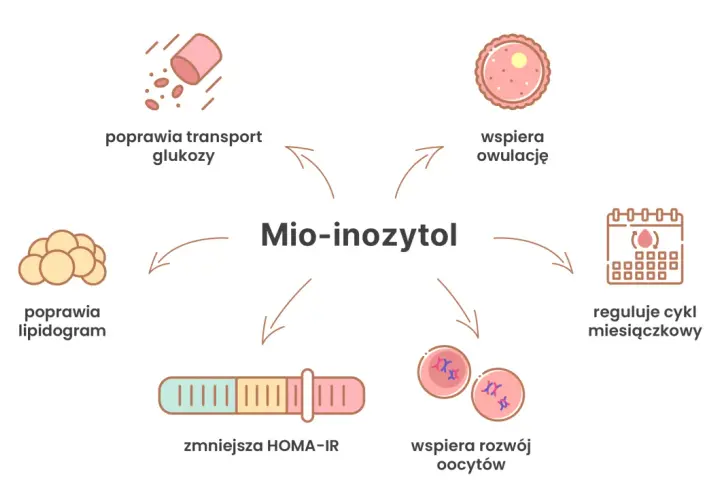 Ilustracja przedstawia schemat działania mio-inozytolu, z ikonami symbolizującymi poprawę transportu glukozy, lipidogramu, owulacji, cyklu miesiączkowego, rozwoju oocytów i redukcję HOMA-IR.