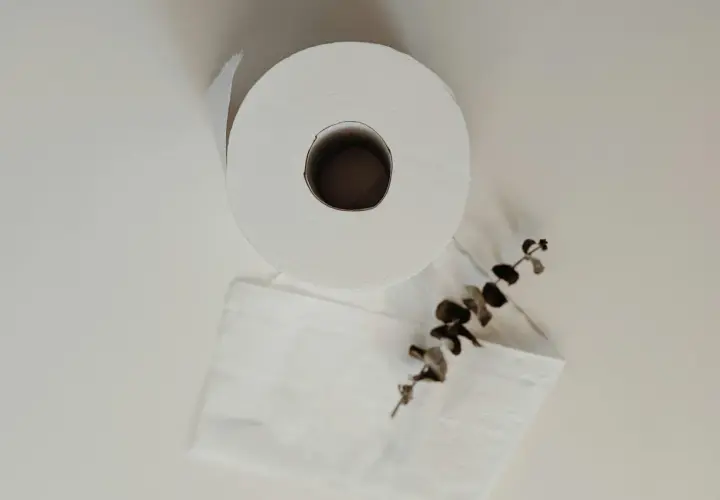 Rolka białego papieru toaletowego i gałązka z liśćmi na białym tle.