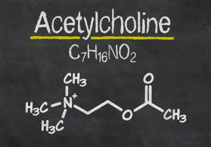 Struktura chemiczna acetylocholiny na czarnej tablicy.