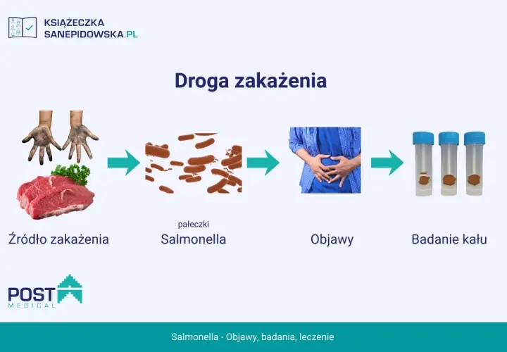Schemat drogi zakażenia Salmonellą: źródło (mięso, brudne ręce), pałeczki, objawy (ból brzucha), badanie kału.