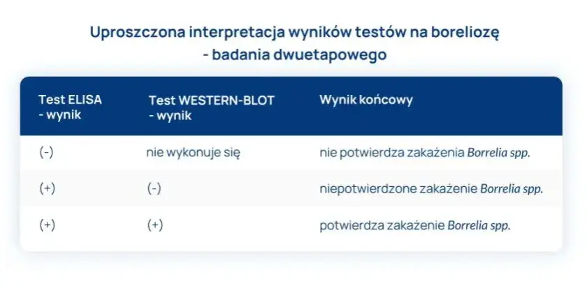 Jak odczytać wyniki badań na boreliozę i uniknąć fałszywych diagnoz