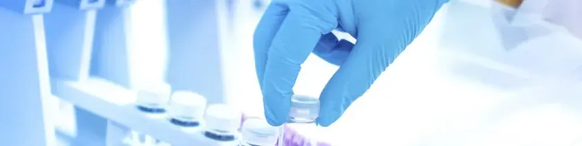 Ile kosztuje badanie DNA z włosa? Poznaj ceny i ukryte koszty