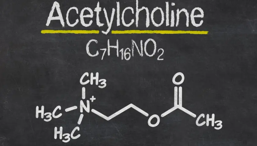 Struktura chemiczna acetylocholiny na czarnej tablicy.