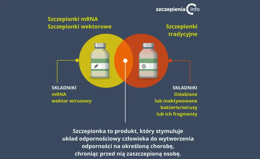 Szczepionka - Jak działa, rodzaje i bezpieczeństwo w Polsce?