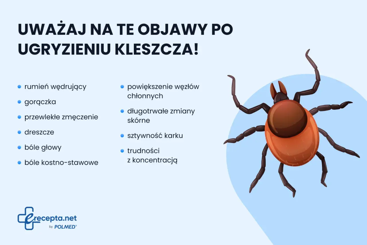 Ilustracja kleszcza z listą objawów po ugryzieniu: rumień, gorączka, zmęczenie, bóle.